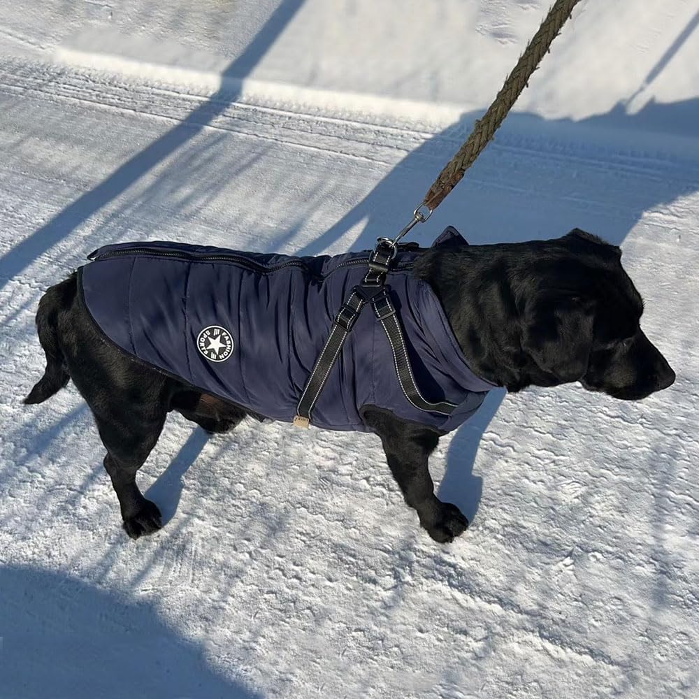 Voarge Hondenjas 5XL | Wintervest met Harnas | Waterdicht, Reflecterende Strepen, Machinewasbaar | Blauw