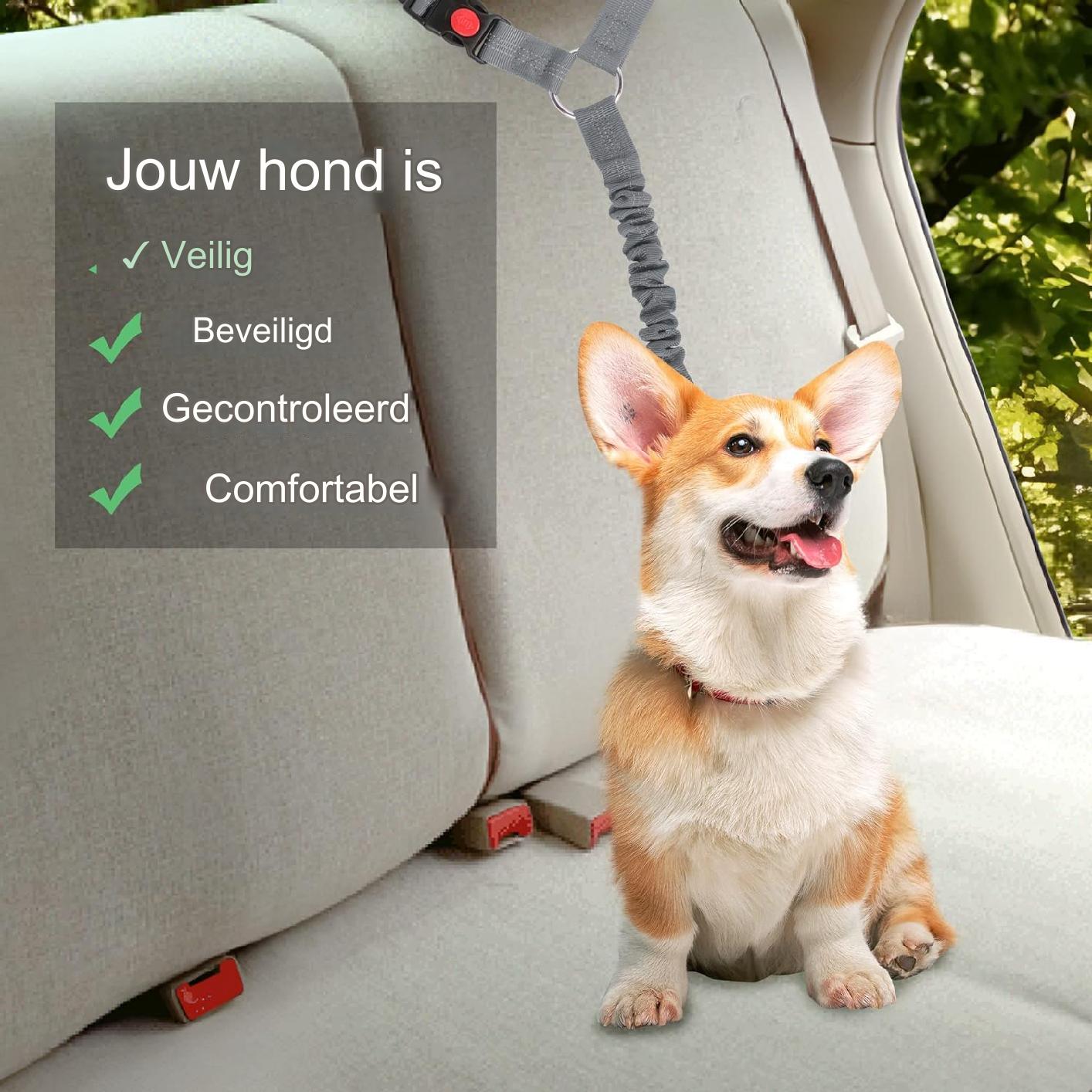 1 Stuk - Verstelbare Hoofdsteun Honden Autogordel - Elastische Autoveiligheidsgordel Voor Honden en Katten - Sterke Nylon Bungee Buffer Hondentuigje - Grijs - Geschikt Voor Kleine, Middelgrote en Grote Huisdieren - Veilig Reizen Met Huisdieren