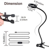 Dimbare LED Clip-on Ringlamp – Tafellamp Met Klem Voor Videovergaderingen, Lezen & Zoom – 3 Kleuren (3000K-6500K) – 10 Helderheidsniveaus – USB Gevoed – Flexibele Arm – 46 cm – Klem Tot 5 cm Breed