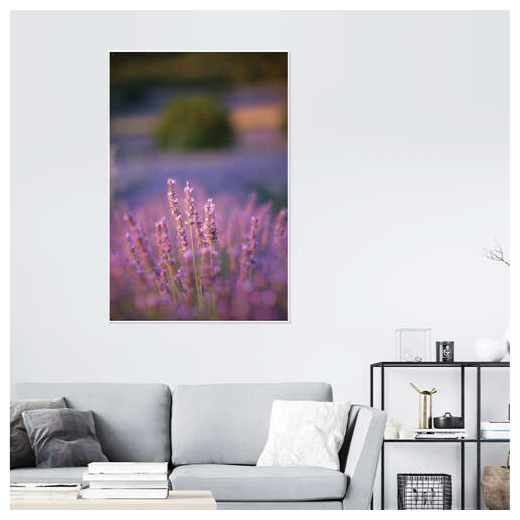 Set van 2 Luxe Posters met Close-up van Wilde Paarse Lavendels, 80x40cm, van Hoogwaardig Papier - Perfecte Wanddecoratie voor Slaapkamer, Woonkamer, Kinderkamer en Kantoor, Voegt Kleur en Natuurschoon Toe aan Elke Ruimte