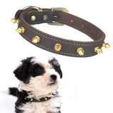 Stijlvolle Studded Leren Honden Halsband - Eiken Donker Bruin Echt Leer, Rood, Zachte, Comfortabele Halsband voor Honden van Alle Maten en Rassen, Een Modieuze en Functionele Toevoeging aan de Accessoires van je Hond