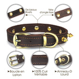 Stijlvolle Studded Leren Honden Halsband - Eiken Donker Bruin Echt Leer, Rood, Zachte, Comfortabele Halsband voor Honden van Alle Maten en Rassen, Een Modieuze en Functionele Toevoeging aan de Accessoires van je Hond