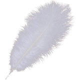 10 Stuks - Witte Struisvogelveren - 30-35 cm - Natuurlijke Veren voor Bruiloft, DIY Handwerk, Kostuumaccessoires en Woondecoratie