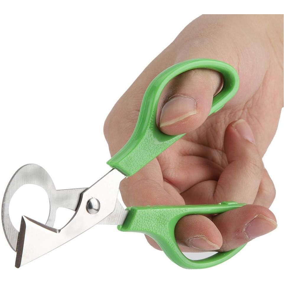 Set van 2 Groene Roestvrijstalen Kwartelei Scharen - Perfect voor Snel & Veilig Openen van Kwarteleieren Thuis, in de Keuken of Restaurant