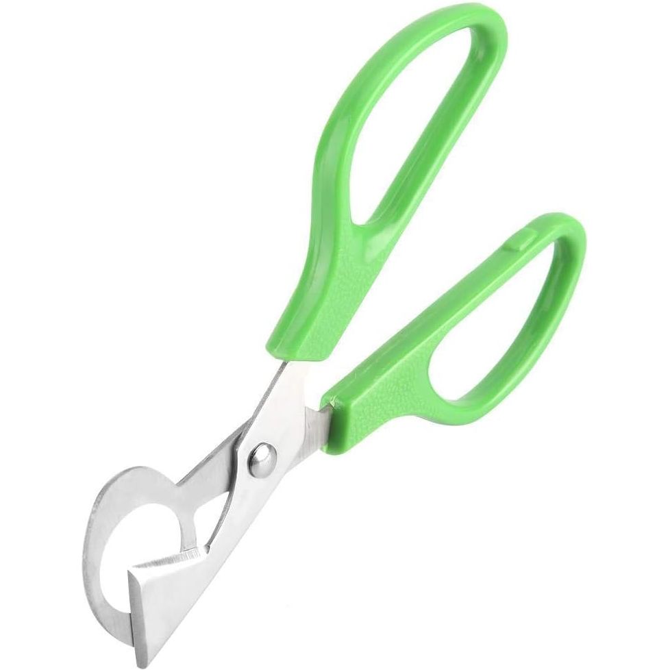 Set van 2 Groene Roestvrijstalen Kwartelei Scharen - Perfect voor Snel & Veilig Openen van Kwarteleieren Thuis, in de Keuken of Restaurant