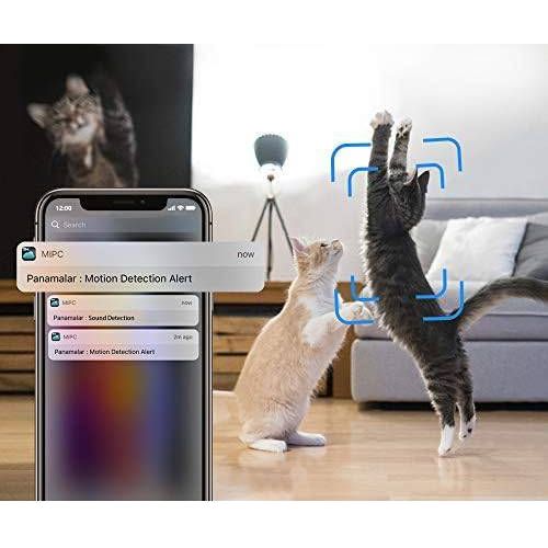 Panamalar 1080P HD Draadloze Beveiligingscamera - 1080P HD WiFi Pet Camera - 2.4G Indoor Camera - Nachtzicht - 2-Weg Audio - Bewegingsdetectie - Geschikt voor Baby/Elder/Nanny Monitor - Compatibel met Alexa - Ondersteuning voor MicroSD en Cloud Opslag