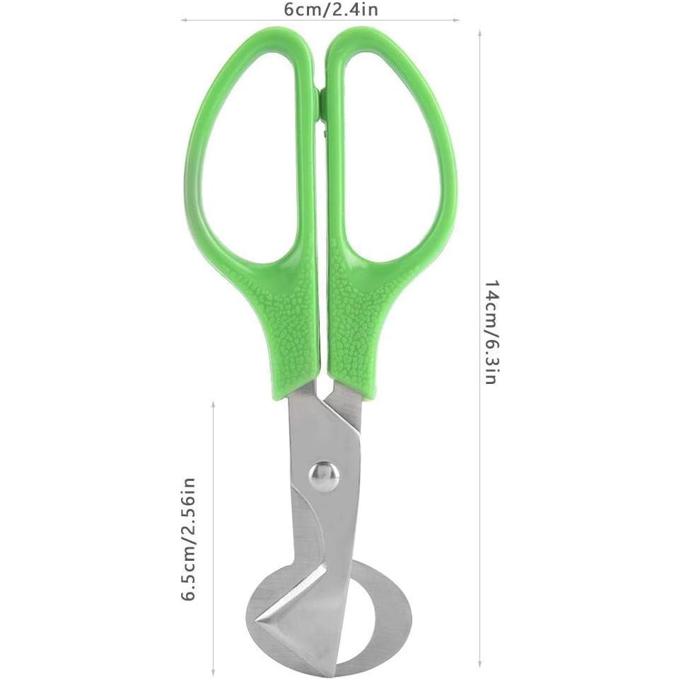 Set van 2 Groene Roestvrijstalen Kwartelei Scharen - Perfect voor Snel & Veilig Openen van Kwarteleieren Thuis, in de Keuken of Restaurant