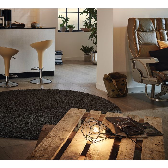 Casalux - Tafellamp - Zwart Stalen Frame - Industrieel Design - E27 Fitting - Exclusief Lichtbron - Hoogte 26,5 cm - Diameter 17,5 cm - Geschikt voor LED Lampen - Met Snoerschakelaar