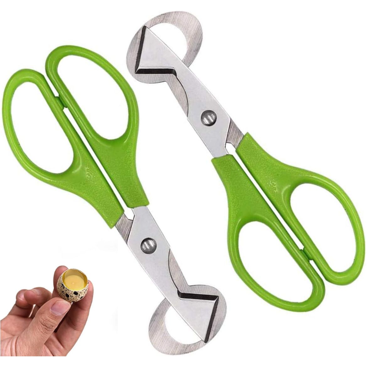 Set van 2 Groene Roestvrijstalen Kwartelei Scharen - Perfect voor Snel & Veilig Openen van Kwarteleieren Thuis, in de Keuken of Restaurant