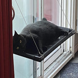 Duurzame Katten Hangmat met Sterke Zuignappen - 69 x 39 cm - Venster Bed voor Katten - Gemakkelijk te Installeren - Comfortabele Ligplaats - Gemaakt van PVC en Oxford Stof - Zwart