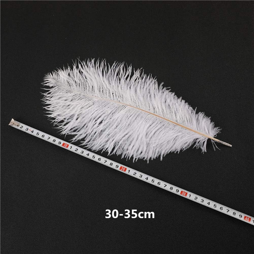 10 Stuks - Witte Struisvogelveren - 30-35 cm - Natuurlijke Veren voor Bruiloft, DIY Handwerk, Kostuumaccessoires en Woondecoratie