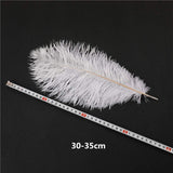 10 Stuks - Witte Struisvogelveren - 30-35 cm - Natuurlijke Veren voor Bruiloft, DIY Handwerk, Kostuumaccessoires en Woondecoratie