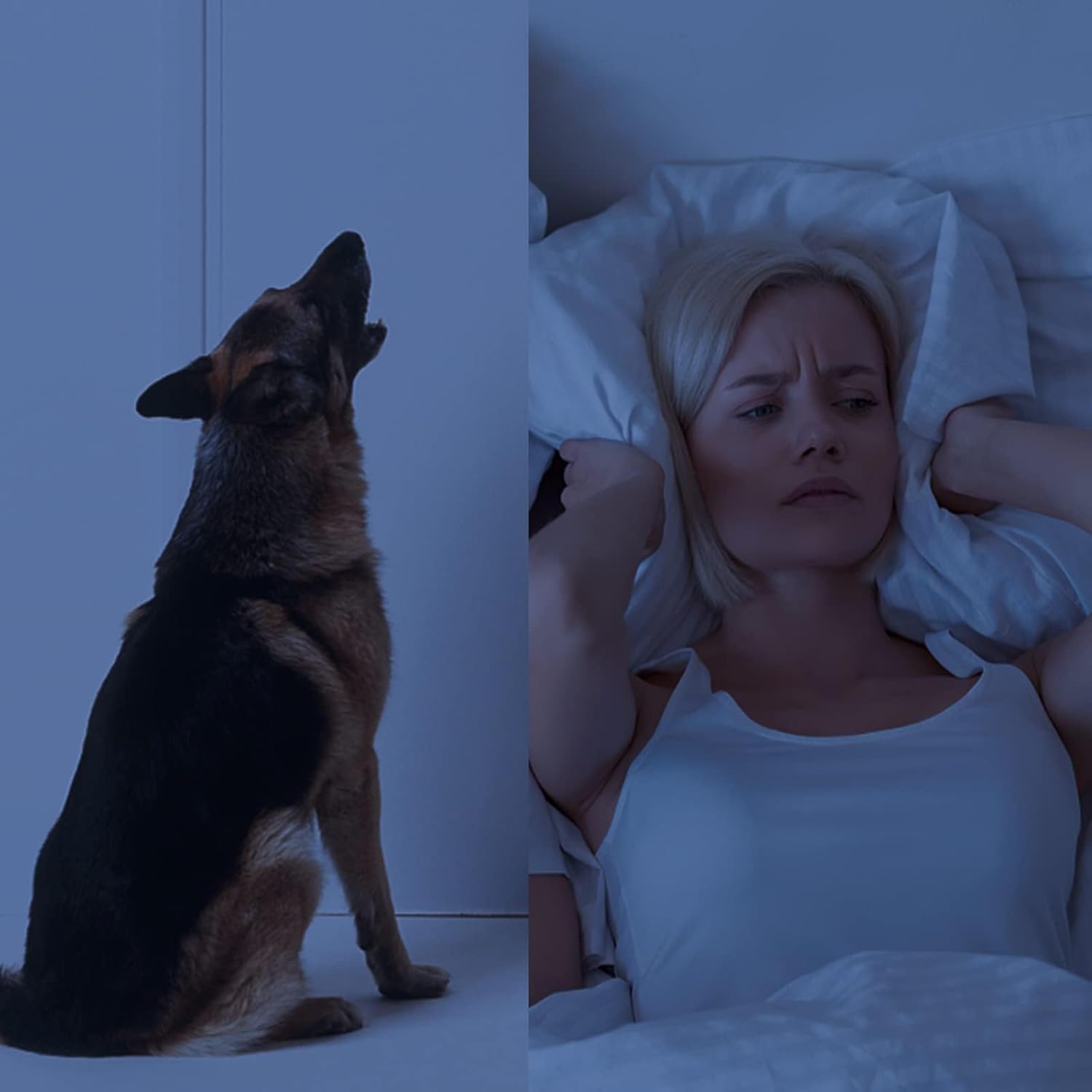 3 Delige - Herbruikbare Siliconen Oordopjes voor Slapen - Geluiddemping tot 33dB - Inclusief Memory Foam Oordopjes (37dB) - Aluminium Opbergcase en Hennep Cadeautasje - Voor Slapen, Reizen, Zwemmen en Werk