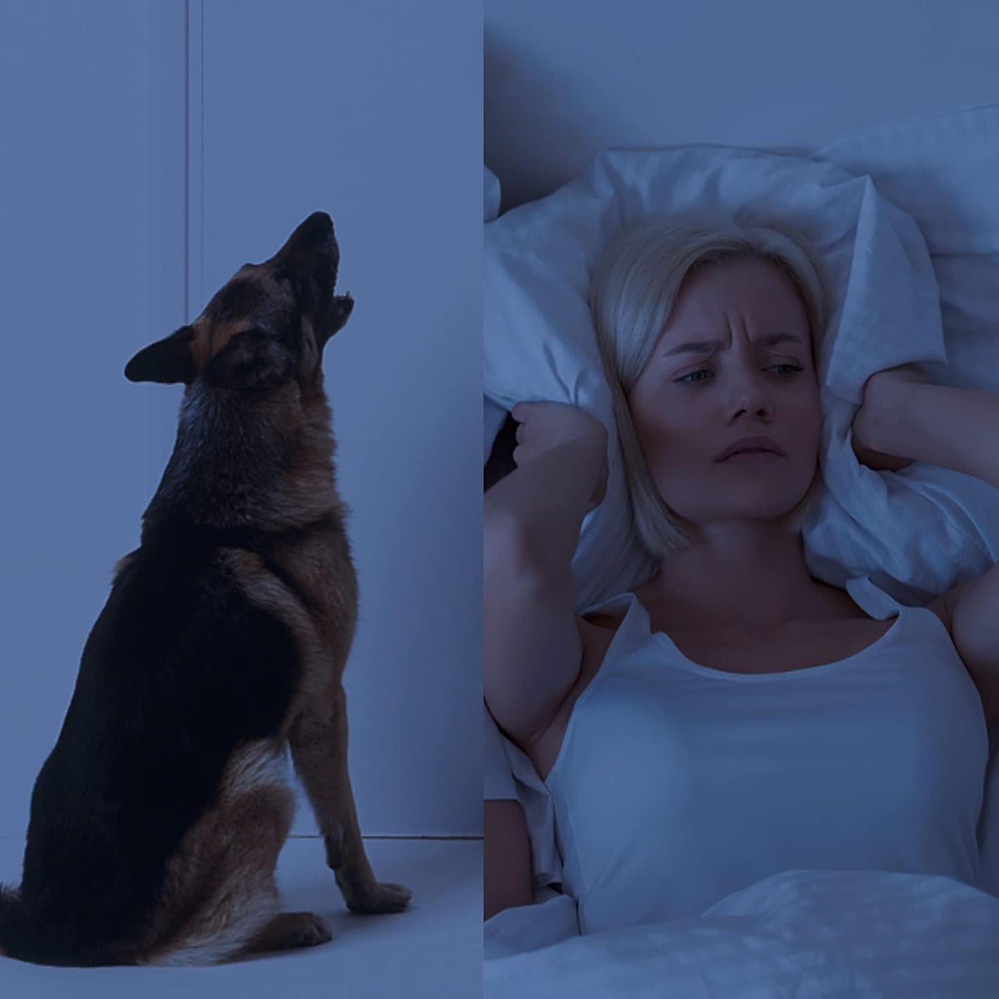 3 Delige - Herbruikbare Siliconen Oordopjes voor Slapen - Geluiddemping tot 33dB - Inclusief Memory Foam Oordopjes (37dB) - Aluminium Opbergcase en Hennep Cadeautasje - Voor Slapen, Reizen, Zwemmen en Werk