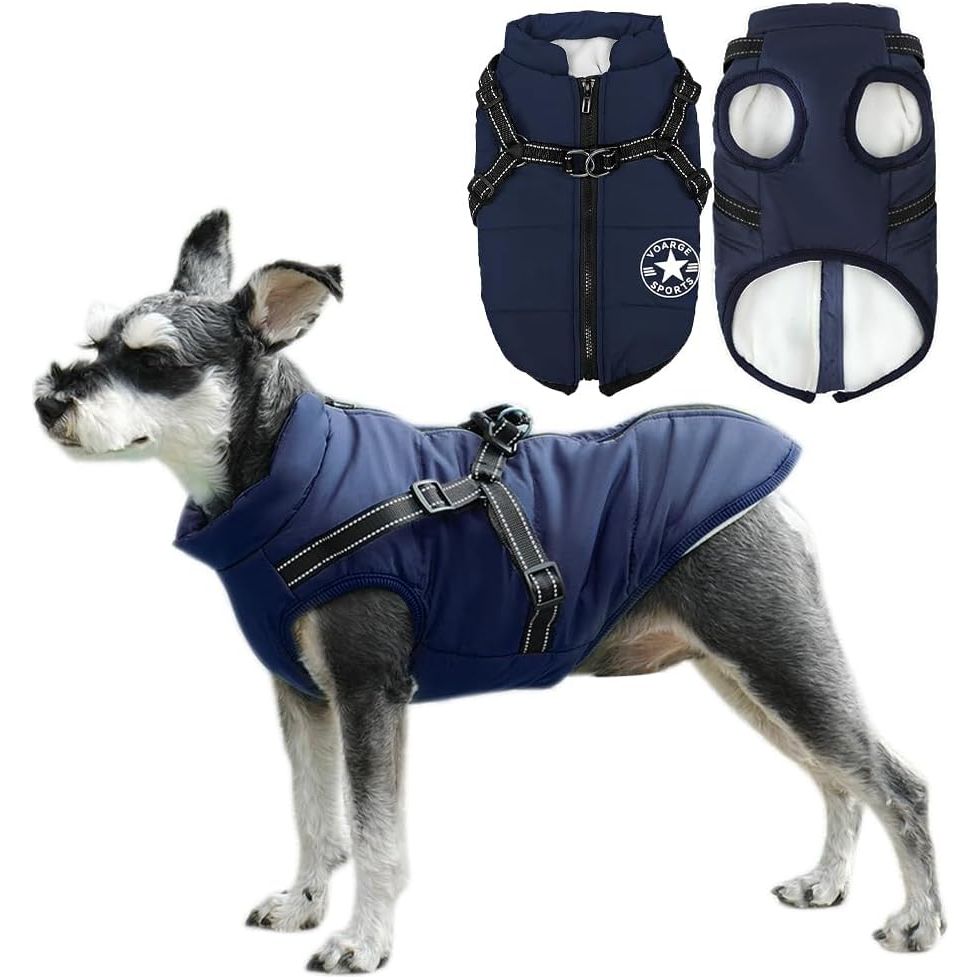 Voarge Hondenjas 5XL | Wintervest met Harnas | Waterdicht, Reflecterende Strepen, Machinewasbaar | Blauw
