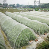 Tuin Insecten Beschermingsnet - 2,5 m x 10 m - Vogel- en Vliegwerend Net - Duurzaam Polyethyleen - Geschikt voor Groenten, Bloemen en Fruit - UV-Bestendig