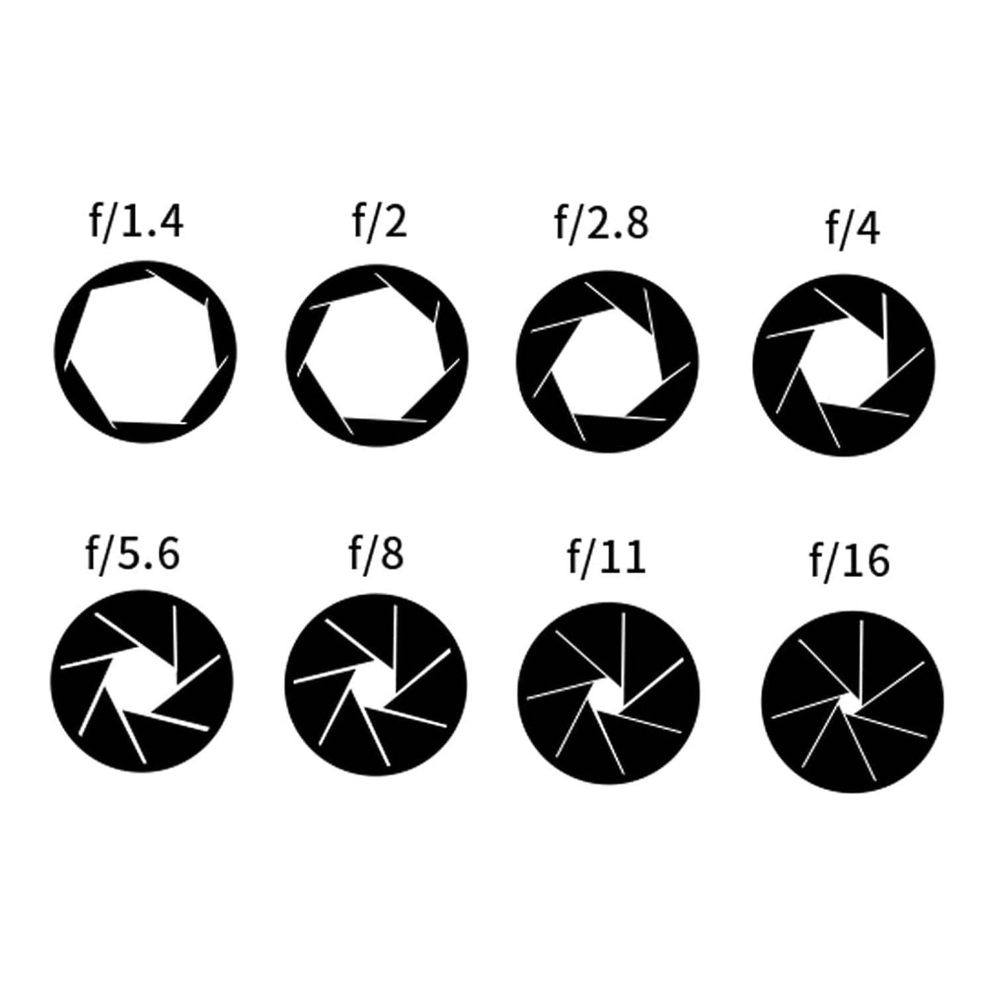 Meike MK-ETZ Adapter - Metaal Auto-Focus Lens Adapter voor Sony E-Mount naar Z Serie Spiegelloze Camera's - Ondersteunt Automatische Diafragma