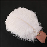 10 Stuks - Witte Struisvogelveren - 30-35 cm - Natuurlijke Veren voor Bruiloft, DIY Handwerk, Kostuumaccessoires en Woondecoratie