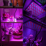 2 Stuks - LED Grow Light, 75W Volledig Spectrum Kweeklamp voor Binnenplanten - Groeilamp - Zaailingen, Hydroponics, Kassen, Vetplanten, Bloemen