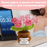 Handgemaakte Gehaakte Bloempot – “Emotional Support” Plant in Roze – Perfect Dankjewel Cadeau voor Leraren, Vrienden &amp; Familie – Zachte Wol, Uniek Gehaakt Design (10 × 10 cm)