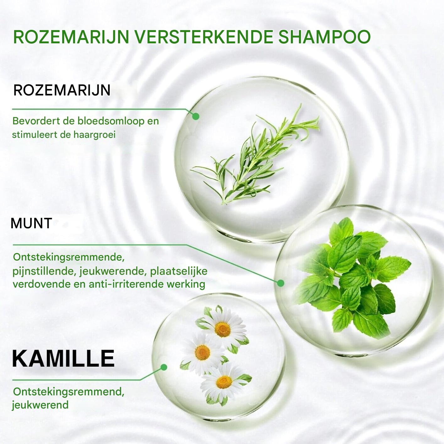 Rozemarijn Shampoo voor Haargroei – 300 ml – Anti-Haaruitval Shampoo – Versterkend en Voedend – Voor Alle Haartypes – Vegan en Natuurlijk