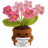 Handgemaakte Gehaakte Bloempot – “Emotional Support” Plant in Roze – Perfect Dankjewel Cadeau voor Leraren, Vrienden &amp; Familie – Zachte Wol, Uniek Gehaakt Design (10 × 10 cm)