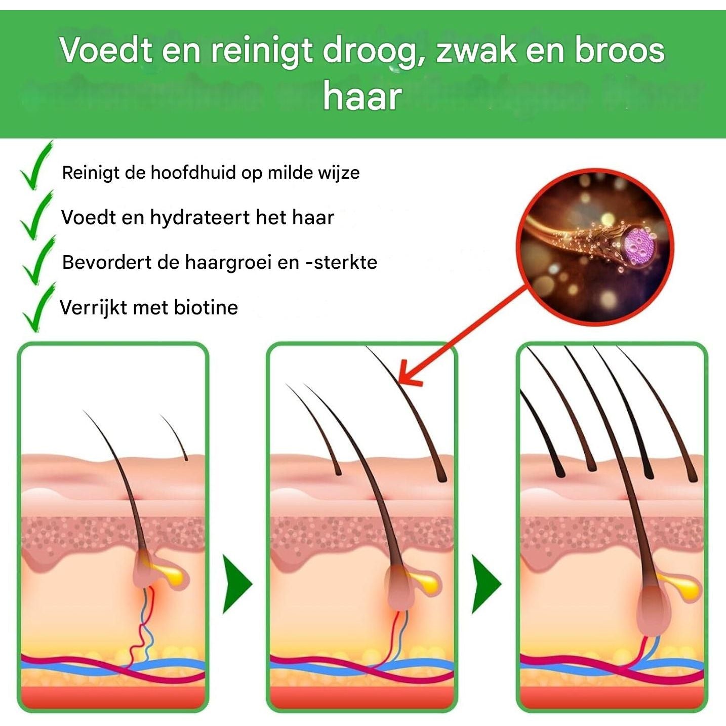Rozemarijn Shampoo voor Haargroei – 300 ml – Anti-Haaruitval Shampoo – Versterkend en Voedend – Voor Alle Haartypes – Vegan en Natuurlijk