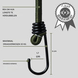 10 Stuks – Elastische Bungee Koorden 100 cm – Spanbanden met Haken – 8 mm Dikke Bagagespanners – J-Haak Sjorbanden – Weerbestendige Koorden voor Kamperen Vervoer Tuinwerk Fietsen Outdoor Gebruik – UV-Bestendig en Verstelbaar