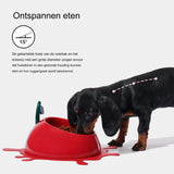 Katten/ Honden Voerbak Voor Eten En Drinken - Gekantelde Kattenvoederbak Anti-Snor Vermoeidheid - Brede Ondiepe Kattenvoerbak Anti-Kots Niet-Slip Voor Kleine Middelgrote Honden Katten Konijnen - Juicy Cherry Ontwerp - ABS Materiaal