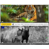 Digitale Infrarood Nachtkijker Verrekijker - 300M Bereik - 4X Zoom - HD Foto en Video - Inclusief 32GB SD Kaart - Zwart