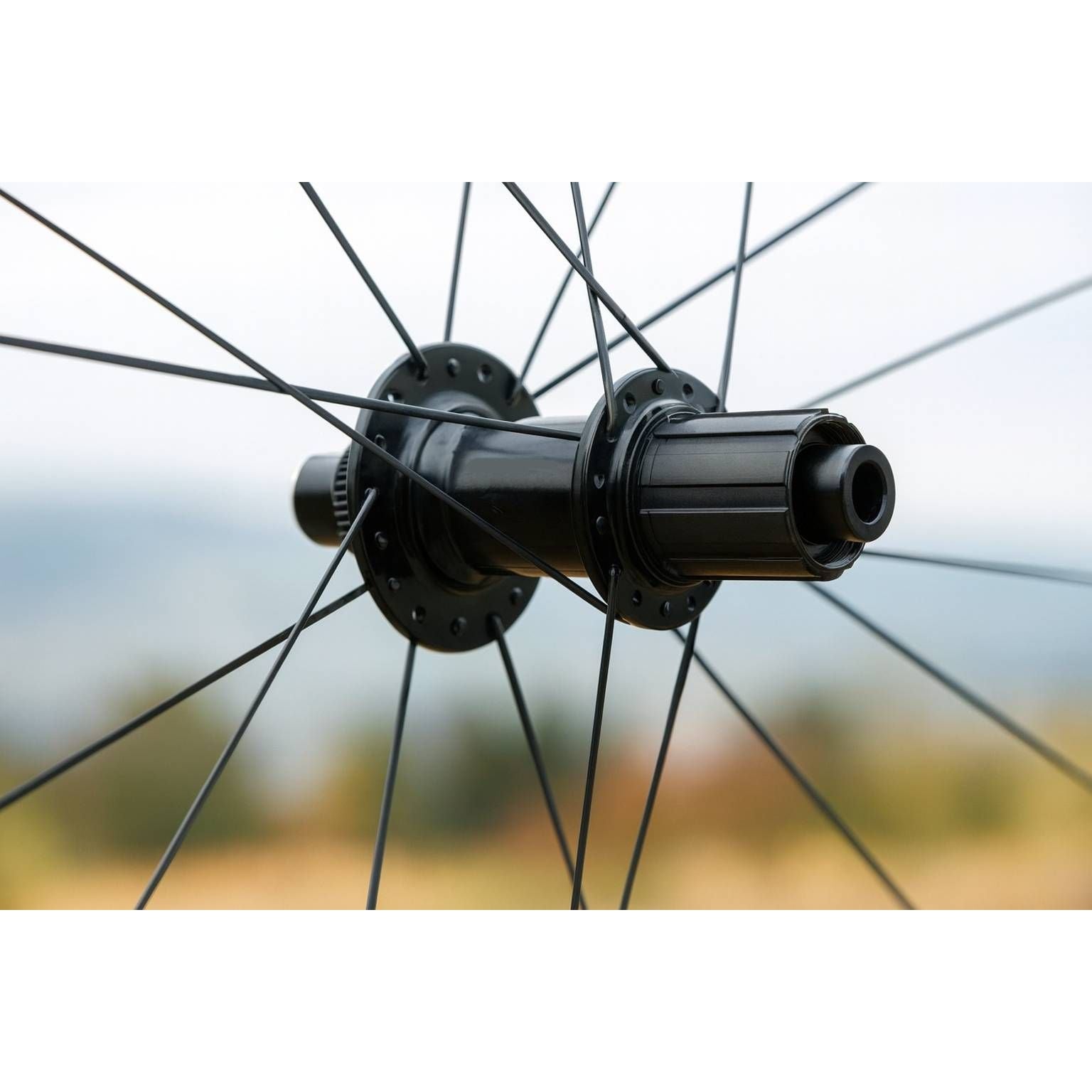 SCS - Achternaaf - 142 mm - Thru Axle Ø 12 mm - Disc Centerlock - 36 GTS Spaakgaten - Model BQ-RH30017 - HG Body 36,85 mm - 6 Pallen - 120 Ingrepen - Voor Race en Gravel - Zwart - Afgedichte Lagers