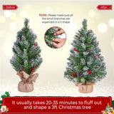 2 Stuks – Yaheetech Tafelmodel Kerstboom – Met LED Verlichting – Besneeuwd – Met Dennenappels en Bessen – 60 cm