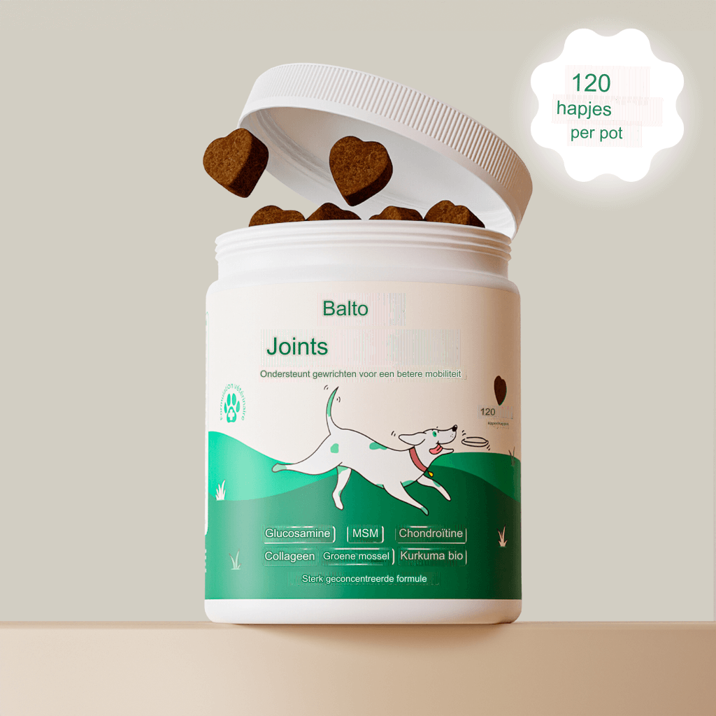Hoogwaardig Gewrichtssupplement met Glucosamine, Chondroïtine en MSM - Ondersteunt Gewrichtsgezondheid en Mobiliteit - Verlicht Stijfheid en Versterkt Kraakbeen - Voor Actieve Personen, Ouderdom en Algemene Gewrichtsverzorging