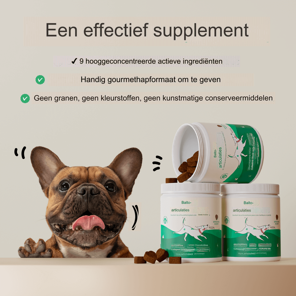 Hoogwaardig Gewrichtssupplement met Glucosamine, Chondroïtine en MSM - Ondersteunt Gewrichtsgezondheid en Mobiliteit - Verlicht Stijfheid en Versterkt Kraakbeen - Voor Actieve Personen, Ouderdom en Algemene Gewrichtsverzorging