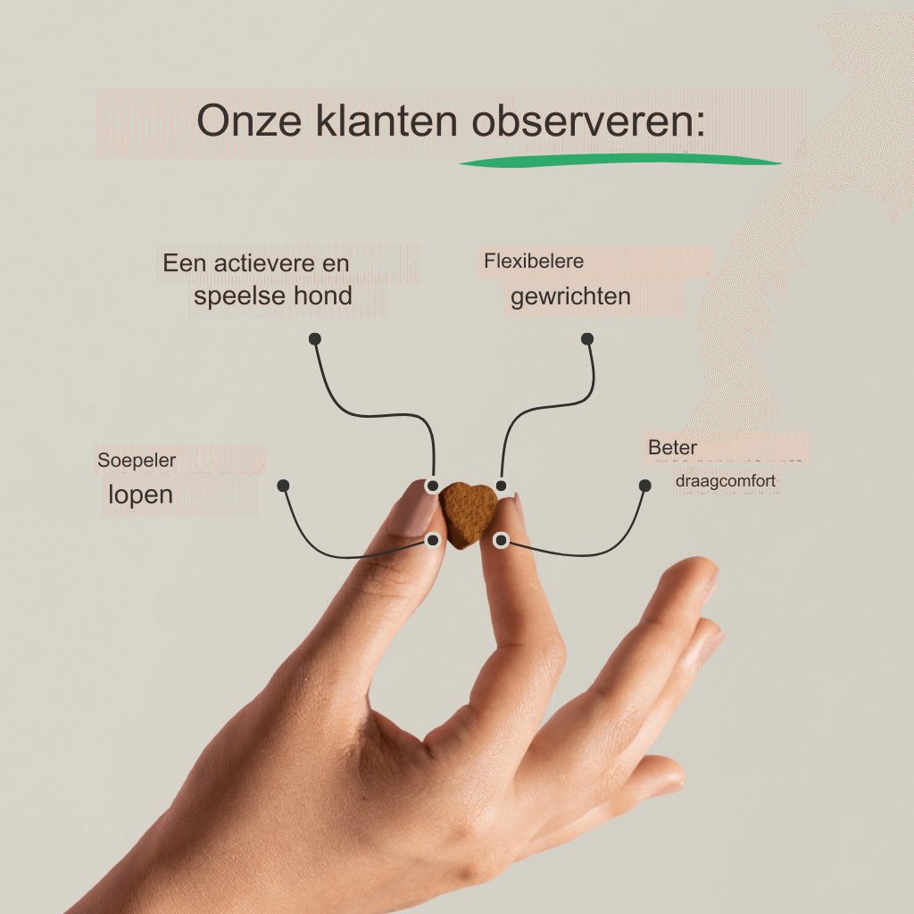 Hoogwaardig Gewrichtssupplement met Glucosamine, Chondroïtine en MSM - Ondersteunt Gewrichtsgezondheid en Mobiliteit - Verlicht Stijfheid en Versterkt Kraakbeen - Voor Actieve Personen, Ouderdom en Algemene Gewrichtsverzorging