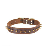 Stijlvolle Studded Leren Honden Halsband - Eiken Donker Bruin Echt Leer, Rood, Zachte, Comfortabele Halsband voor Honden van Alle Maten en Rassen, Een Modieuze en Functionele Toevoeging aan de Accessoires van je Hond