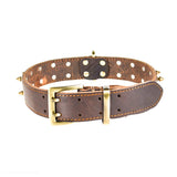 Stijlvolle Studded Leren Honden Halsband - Eiken Donker Bruin Echt Leer, Rood, Zachte, Comfortabele Halsband voor Honden van Alle Maten en Rassen, Een Modieuze en Functionele Toevoeging aan de Accessoires van je Hond