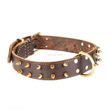 Stijlvolle Studded Leren Honden Halsband - Eiken Donker Bruin Echt Leer, Rood, Zachte, Comfortabele Halsband voor Honden van Alle Maten en Rassen, Een Modieuze en Functionele Toevoeging aan de Accessoires van je Hond