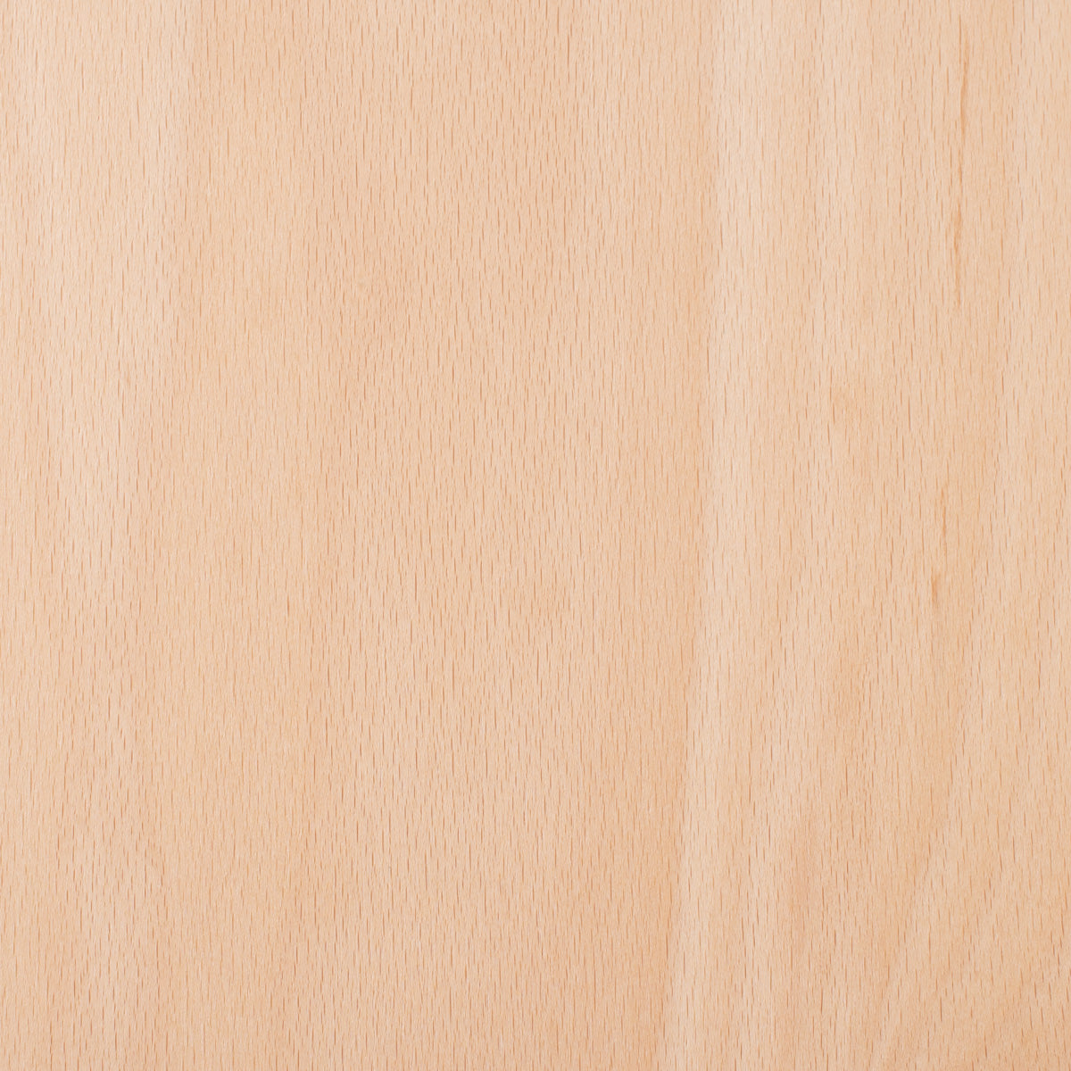 We Rock balansboard – houten wiebelbord voor kinderen – FSC beukenhout balansbord – Montessori speelgoed – wobble board – gebogen speelbord voor balans en motoriek – natuurlijk gelakt houten speelbord – duurzaam kinderspeelgoed
